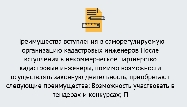 Почему нужно обратиться к нам? Шали Что дает допуск СРО кадастровых инженеров?