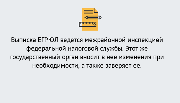 Почему нужно обратиться к нам? Шали Выписка ЕГРЮЛ в Шали ?