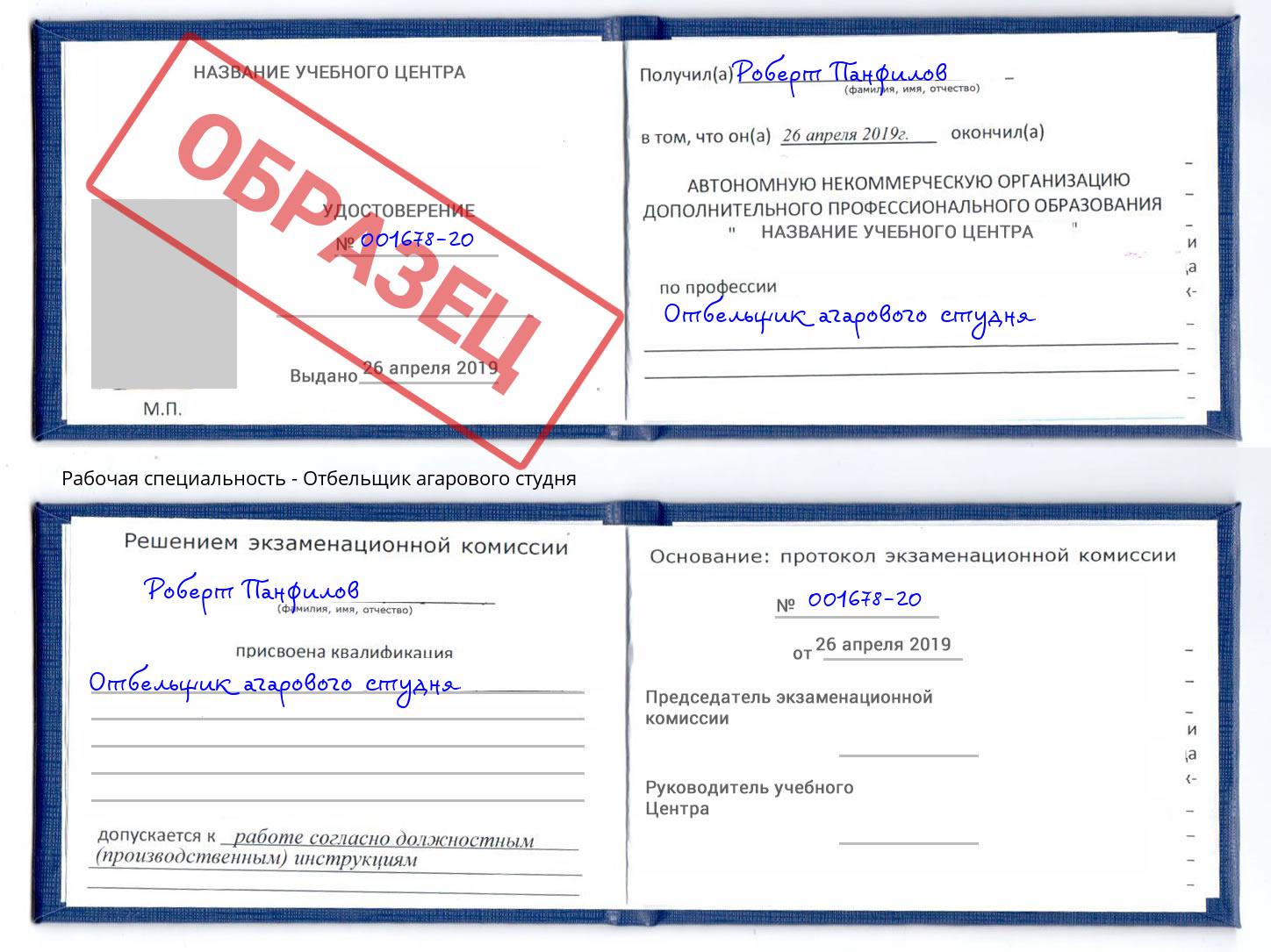 Отбельщик агарового студня Шали