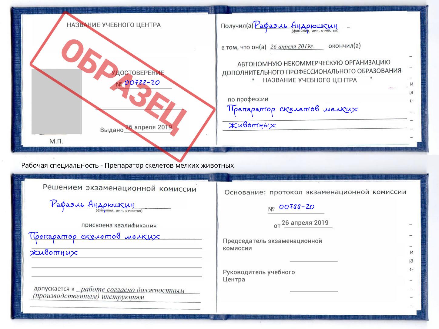 Препаратор скелетов мелких животных Шали