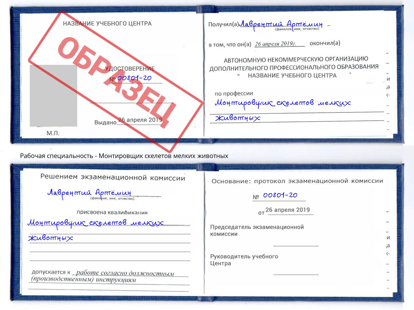 Монтировщик скелетов мелких животных Шали