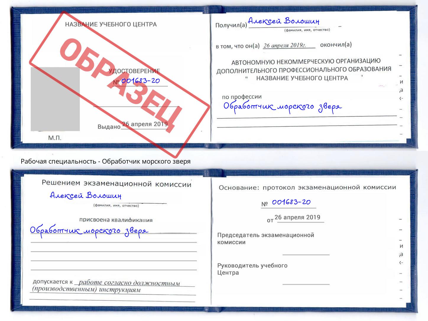 Обработчик морского зверя Шали