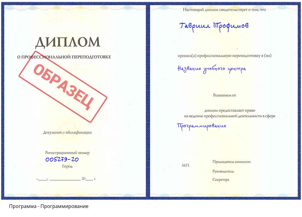 Программирование Шали