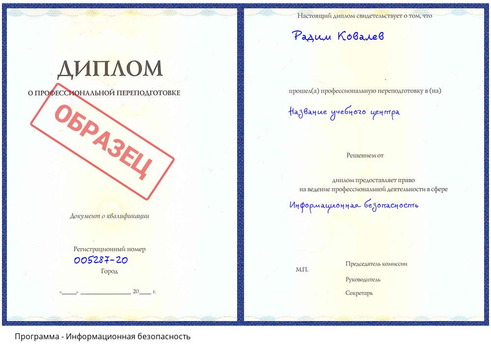 Информационная безопасность Шали