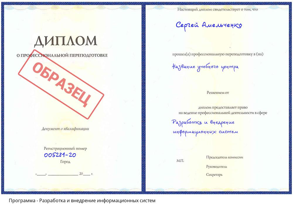 Разработка и внедрение информационных систем Шали