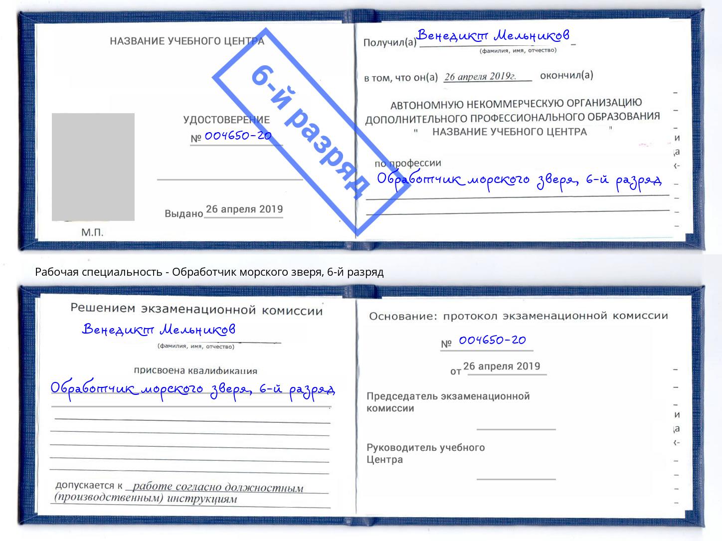 корочка 6-й разряд Обработчик морского зверя Шали