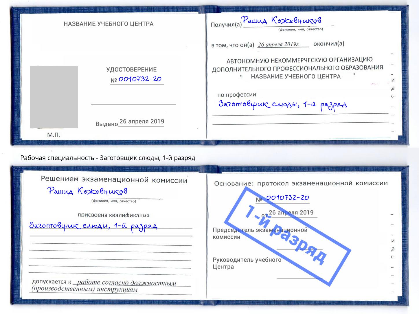 корочка 1-й разряд Заготовщик слюды Шали